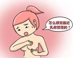 �鷿�������ܳ�ʲô��