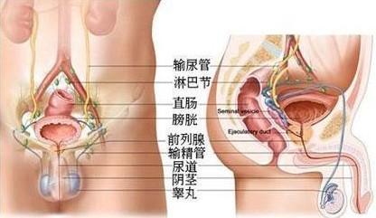 前列腺痛的檢查