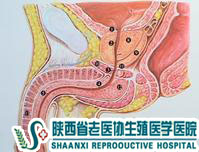 �����o�}�����ęz�鶼��ʲô