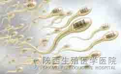 ���Բ��侫���µĲ�����ô�ί�