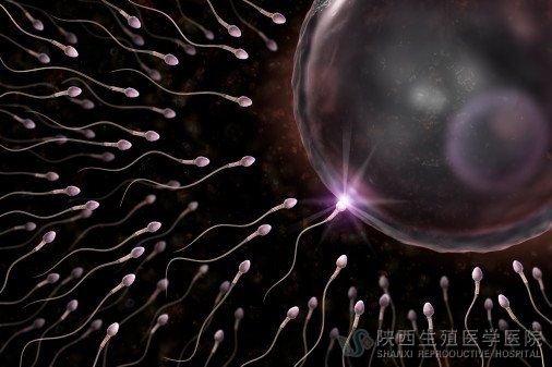 ���������Բ�����ô�ί�