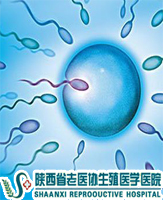 �\���^�ȕ�ʹ��Һ�|���½�����Ć᣿