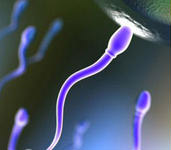 男性梗阻性無精癥怎么治療好?