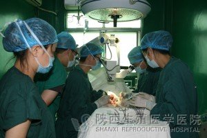 ǧ��(j��)�������g(sh��)�҃�(n��i)���������g(sh��)