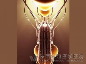 ǰ����ʹӰ��Ը���