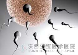 男性弱精怎么治療效果好?