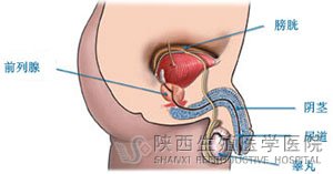 ����ǰ��������ô�ί��ã�